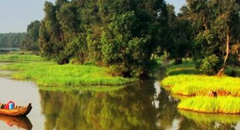 Công ty dịch thuật Công chứng tại Đồng Tháp